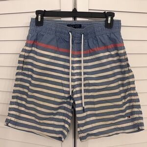 Tommy Hilfiger Men's Blue Striped Swim Shorts